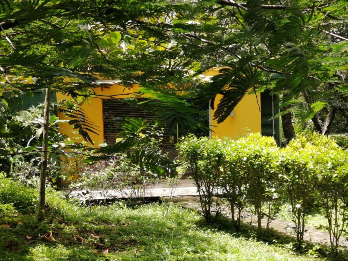 Casa Rural Aroma De Campo Curubande Exterior foto